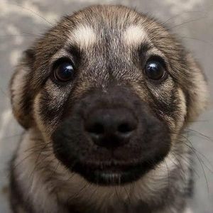 Meet your Posher, Kasper